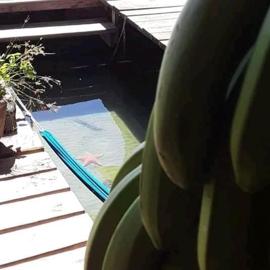 Life Is Good Casa Villa Bocas del Toro Exterior photo